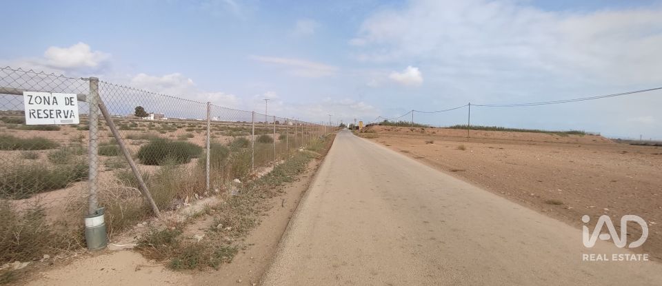 Land of 19,614 m² in El Gimenado (30708)