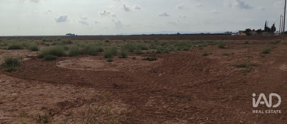 Land of 19,614 m² in El Gimenado (30708)