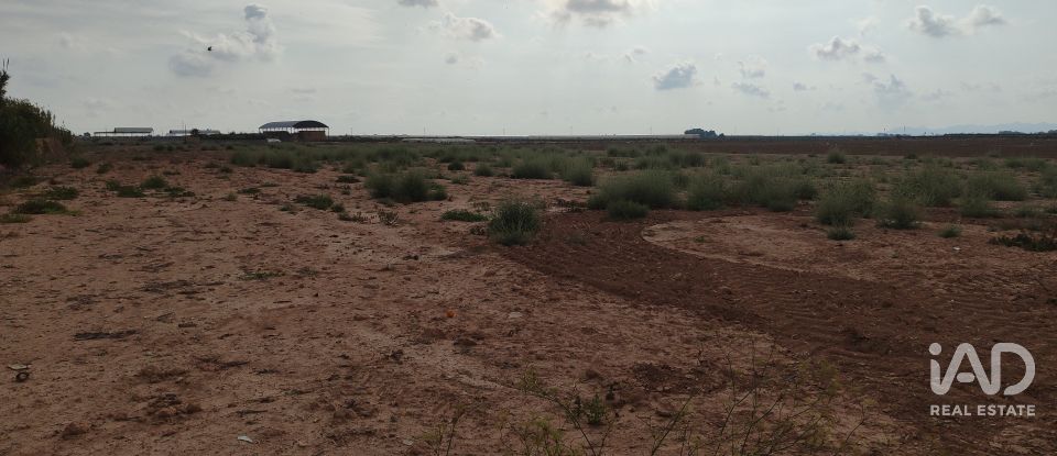 Land of 19,614 m² in El Gimenado (30708)