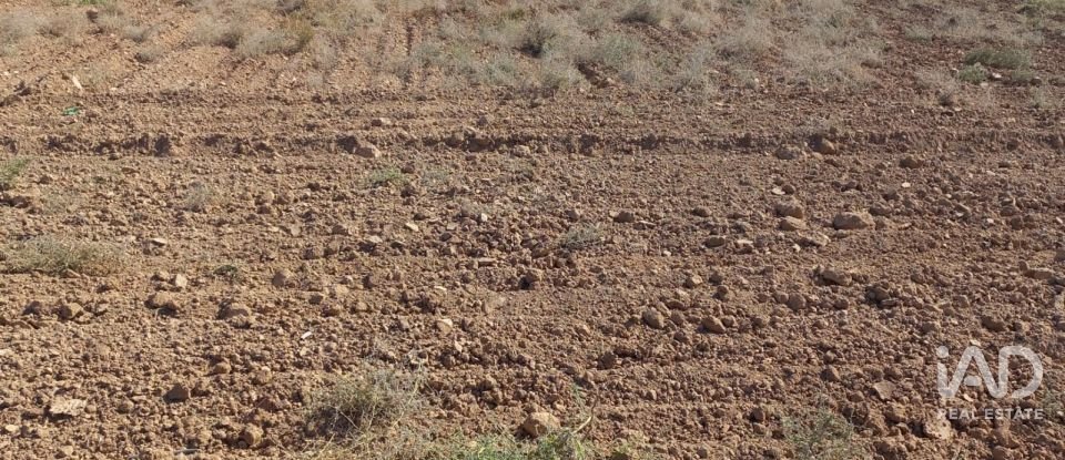 Land of 19,614 m² in El Gimenado (30708)