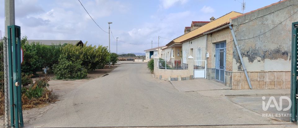 Land of 19,614 m² in El Gimenado (30708)