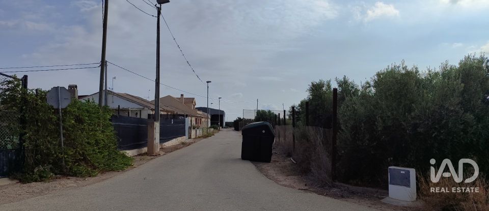 Land of 19,614 m² in El Gimenado (30708)