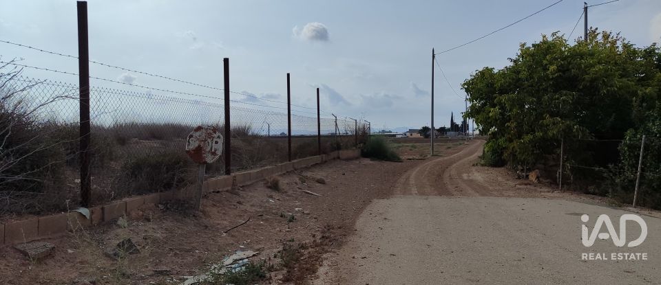 Land of 19,614 m² in El Gimenado (30708)