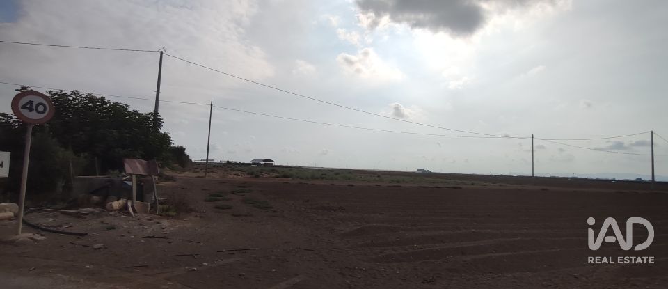 Land of 19,614 m² in El Gimenado (30708)