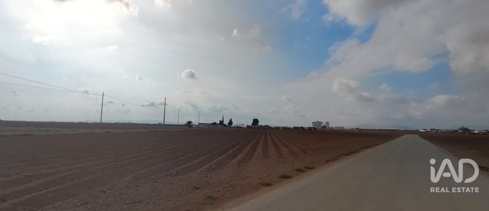 Land of 19,614 m² in El Gimenado (30708)