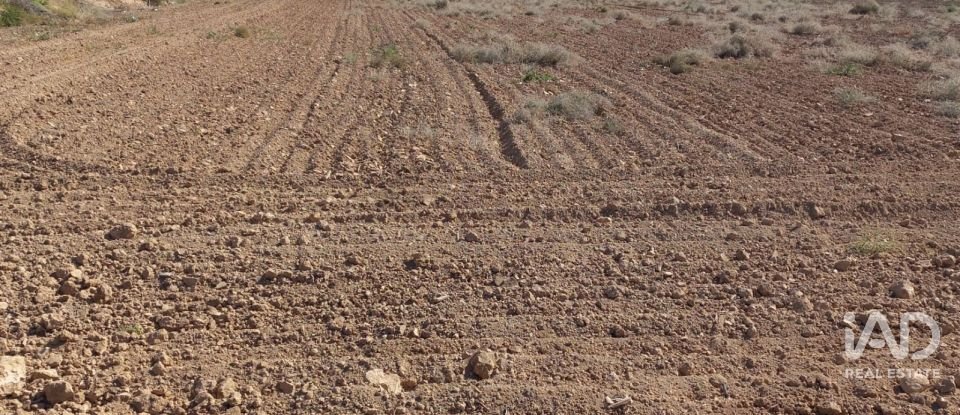 Land of 19,614 m² in El Gimenado (30708)