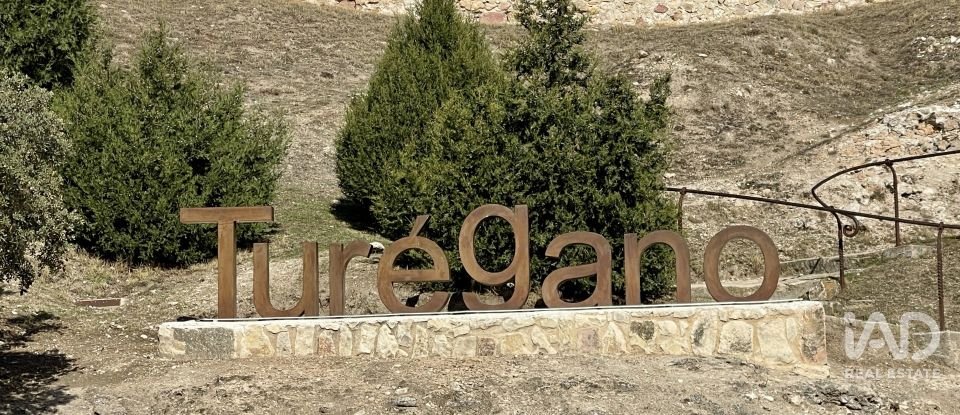 Casa 0 habitacions de 208 m² a Turégano (40370)