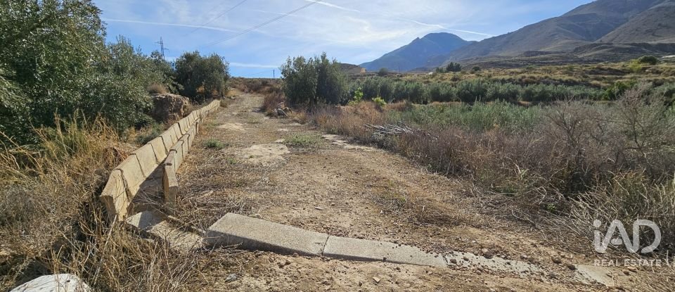 Terreno de 22.500 m² en Illar (04431)