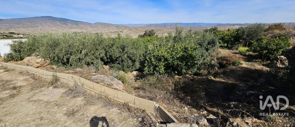 Terreno de 22.500 m² en Illar (04431)