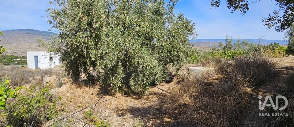 Terreno de 22.500 m² en Illar (04431)