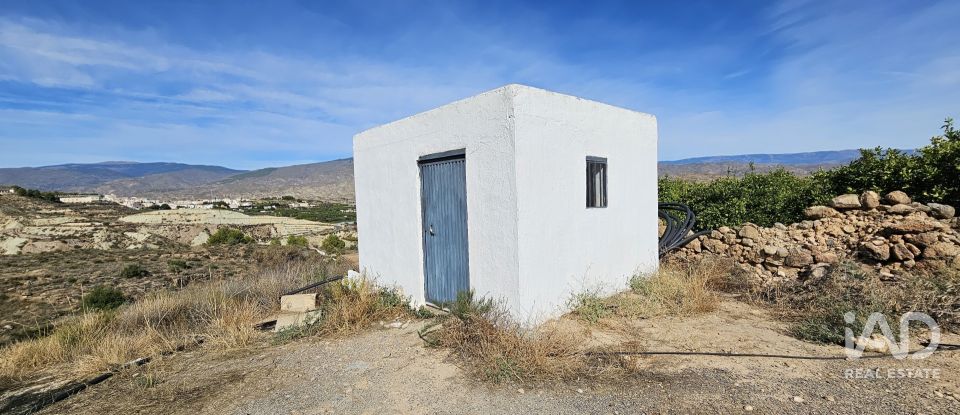 Terreno de 22.500 m² en Illar (04431)