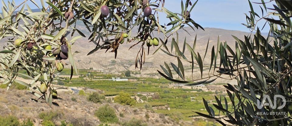 Terreno de 22.500 m² en Illar (04431)