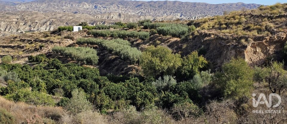 Terreno de 22.500 m² en Illar (04431)