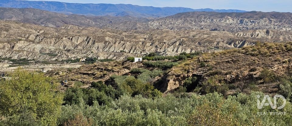 Terreno de 22.500 m² en Illar (04431)