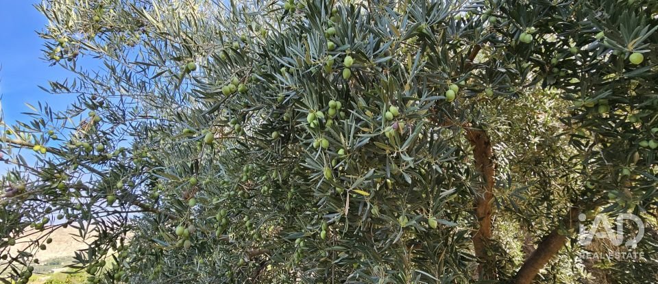 Terreno de 22.500 m² en Illar (04431)