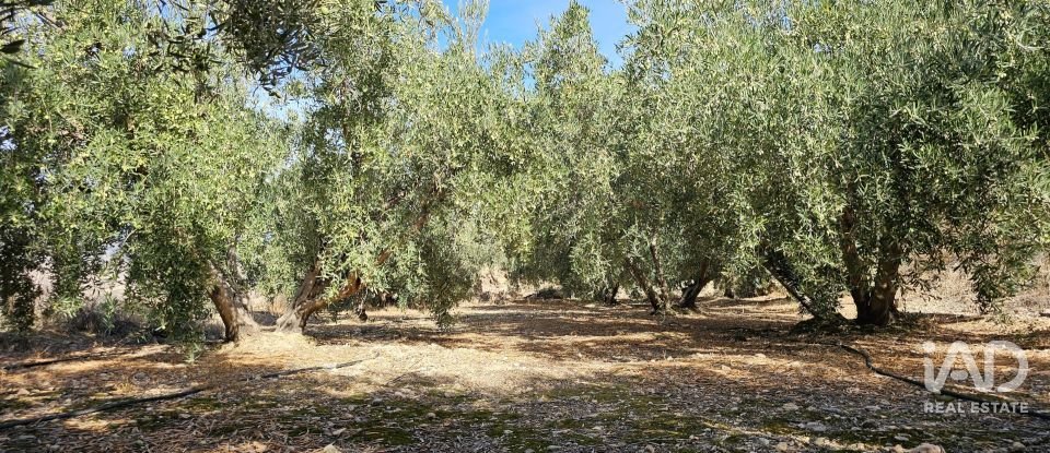 Terreno de 22.500 m² en Illar (04431)