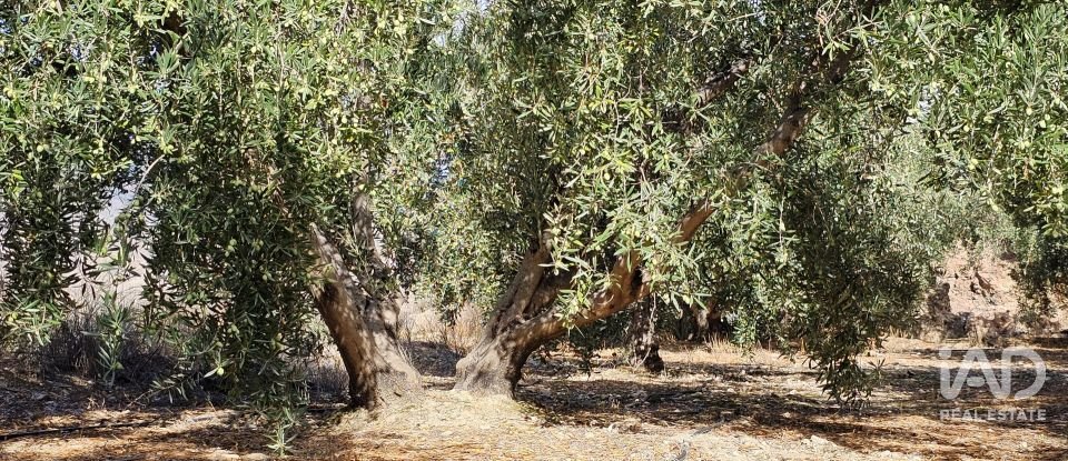 Terreno de 22.500 m² en Illar (04431)