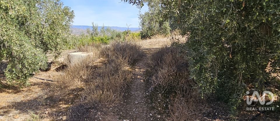 Terreno de 22.500 m² en Illar (04431)