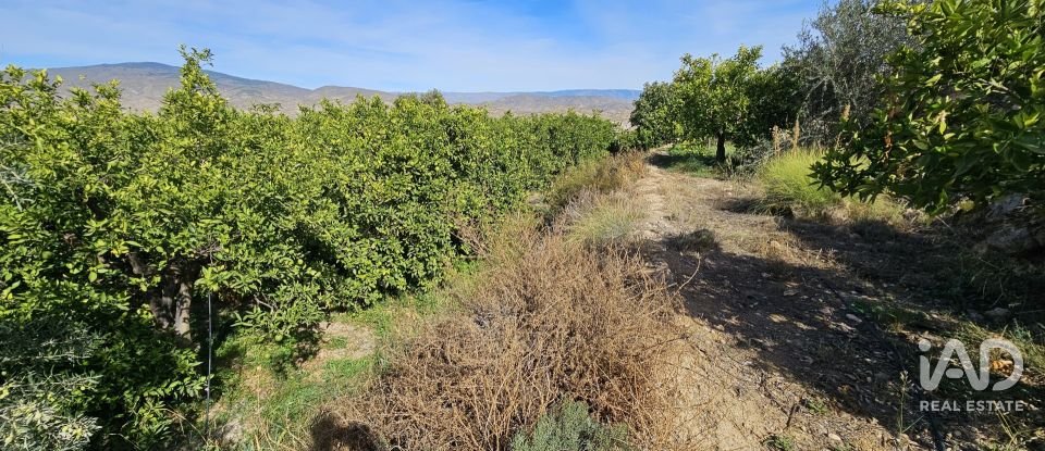 Terreno de 22.500 m² en Illar (04431)