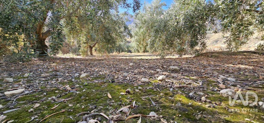 Terreno de 22.500 m² en Illar (04431)