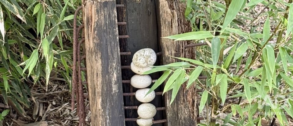 Châlet 4 chambres de 238 m² à Xabia/Javea (03730)