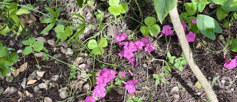 Châlet 4 chambres de 238 m² à Xabia/Javea (03730)