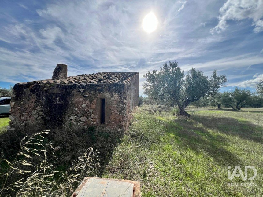 Terreno de 17.344 m² en Observatorio del Ebro (43529)