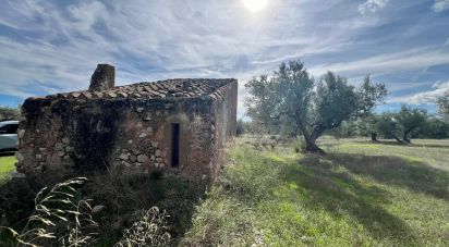 Land of 17,344 m² in Observatorio del Ebro (43529)