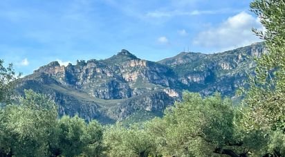 Land of 17,344 m² in Observatorio del Ebro (43529)