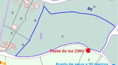 Land of 16,200 m² in Alicante/Alacant (03699)