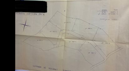 Land of 16,200 m² in Alicante/Alacant (03699)