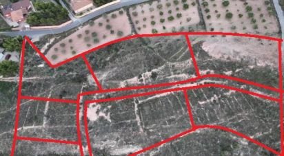 Land of 16,200 m² in Alicante/Alacant (03699)