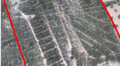 Land of 16,200 m² in Alicante/Alacant (03699)