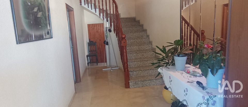 Maison 5 chambres de 478 m² à Flix (43750)