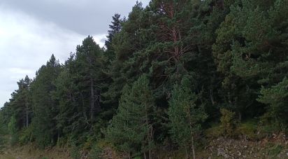 Building plot of 765 m² in La Coma (25284)