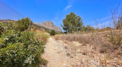 Land of 38,000 m² in Polop (03520)