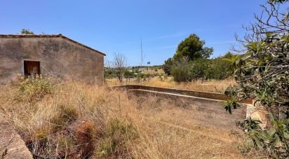 Land of 38,000 m² in Polop (03520)