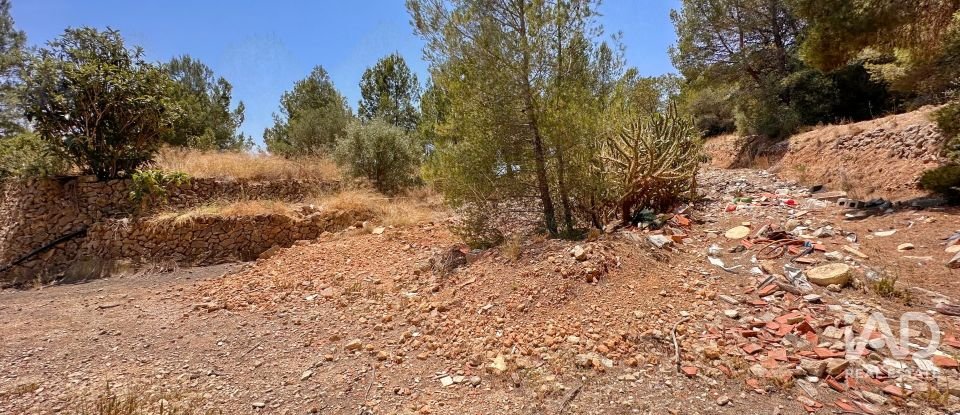 Terreno de 38.000 m² en Polop (03520)