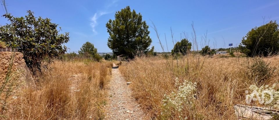 Terreno de 38.000 m² en Polop (03520)