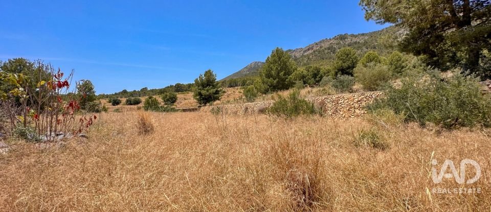 Terreno de 38.000 m² en Polop (03520)