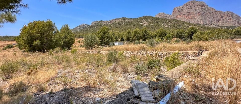 Terreno de 38.000 m² en Polop (03520)