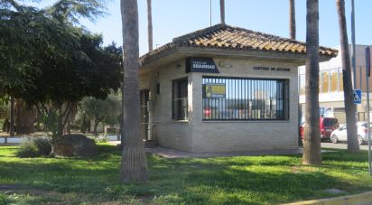 Superfície variada de 290 m² a Bollullos de la Mitación (41110)