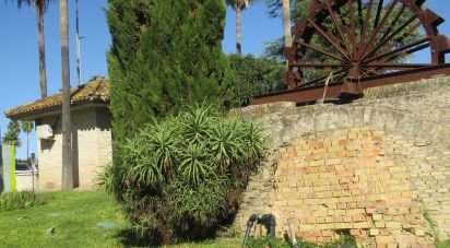 Superfície variada de 290 m² a Bollullos de la Mitación (41110)