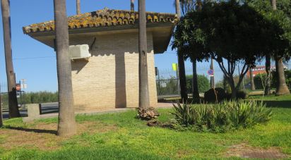 Superfície variada de 290 m² a Bollullos de la Mitación (41110)