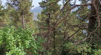 Building plot of 1,600 m² in La Coma (25284)