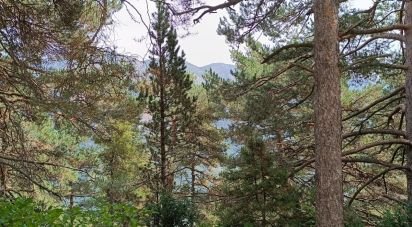 Building plot of 1,600 m² in La Coma (25284)