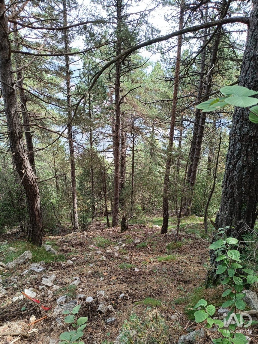 Building plot of 1,600 m² in La Coma (25284)