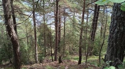 Building plot of 1,600 m² in La Coma (25284)