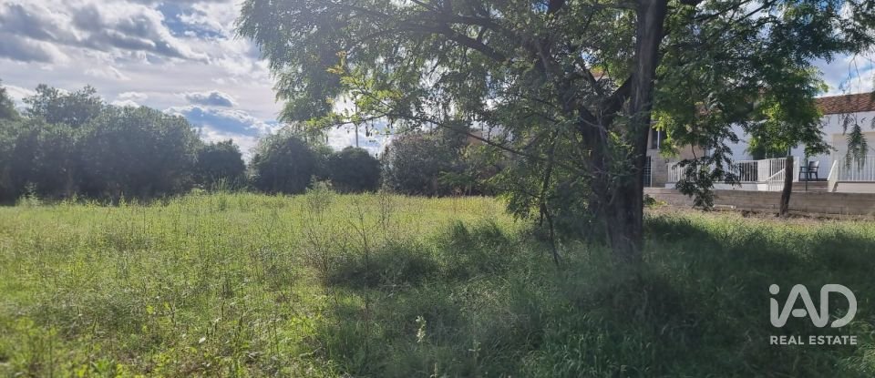 Casa 3 habitacions de 345 m² a La Galera (43515)