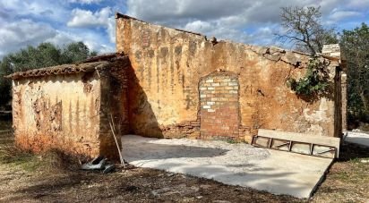 Farm land of 46,025 m² in Roquetes (43520)